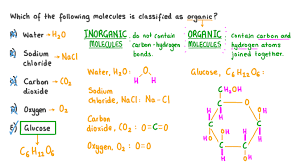 Organic Vs. Inorganic Chemistry | Schoolworkhelper