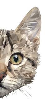 mr curiosity on behance cat painting cat art geometric art