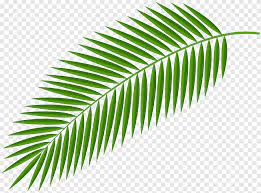 Download palm tree clip art and use any clip art,coloring,png graphics in your website, document or presentation. Palm Trees Png Images Pngegg