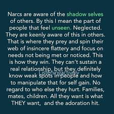 Narcs Are Aware Of The Shadow Selves Of Others By This I Mean The Part Of People That Feel Unseen Neglected They Are Keenly Aware Of