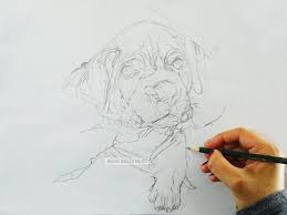 Do you want to learn how to draw a cube or how to draw boxes. How To Draw A Dog Easy Draw An Art