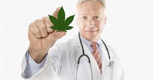 Maybe you would like to learn more about one of these? The Top 4 Medical Marijuana Doctors In Oklahoma Complete Guide