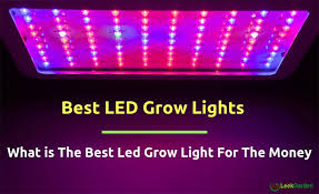 We did not find results for: Top 10 Best Led Grow Lights For Small Garden 2021 Updated Product Review