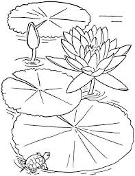 Black And White Lily Pad Free Colouring Sheets Lotus Flowers For Kids Lily Pad Drawing Flower Coloring Pages Flower Drawing