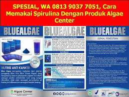 Antara 12 kebaikan susu omega plus! Pin Di Manfaat Antioksidan Dengan Produk Algae Center Berpengalaman Wa 0813 9037 7051