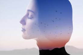 The contrast between soul consciousness and body consciousness soul consciousness is derived from experiencing the self as the soul having understood. What Is Soul Consciousness Inspired Stillness Brahma Kumaris