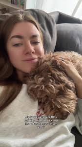 Me Feeling Sick My Dog at Home