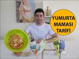 Kuslar Icin Yumurta Mamasi Tarifi Youtube