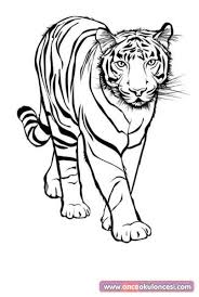 Harika Hayvan Boyama Sayfalari 2020 Hayvan Boyama Sayfalari Boyama Sayfalari Hayvan