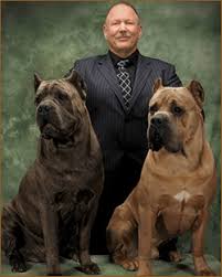 She is an italian mastiff with boue/green eyes that is. Cane Corso Breeders