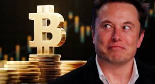 By Buying Btc Elon Musk Has Created A Positive Correlation Between Bitcoin And Tesla Stock Elevenews
