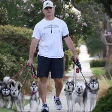 Welcome to the spike gang! Bill Belichick S Dog Created A Surge In Demand Sports Illustrated