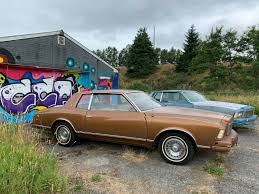 Image result for Brown 1979 GM