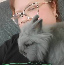 Rehoming 4 lop ear rabbits in Manitowoc