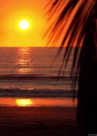 Do Watch The Summer Sunset Beautiful Sunset Sunrise Beautiful Sunrise
