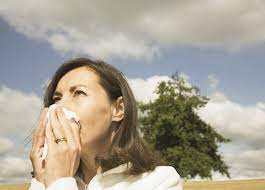 Why Looking At The Sun Can Make You Sneeze Pbs Newshour
