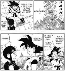 Does Goku Really Love Chichi But He Told Her She Is Not Prettier Than Bulma Quora