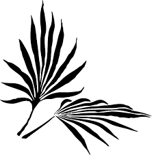 You can share all my designs on social. Free Image On Pixabay Palm Leaves Palm Frond Palm Tree Silhouette Clip Art Tree Illustration Leaf Silhouette
