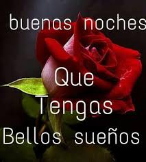 Imagen De Una Rosa Roja Buenas Noches Para Whatsapp