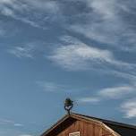 Homesteader Hangout - Free Meet Up in Catawba County, NC