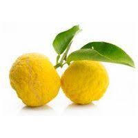 Saison Du Cedrat Quand Les Consommer Les Saisons Des Fruits Et Legumes