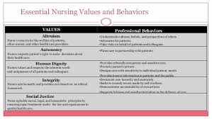 Unit2 Nursing As A Profession