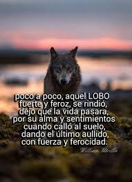 Pin En Frases De Lobos