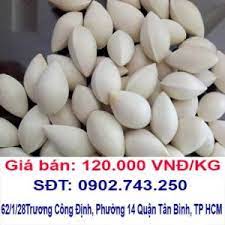 Bạch Quả Cong Dụng Chữa Bệnh Va Những Lưu Y Khi Dung Hạt Bạch Quả