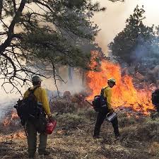 With the arrival of favorable weather conditions, fire managers on the deschutes national forest will begin igniting prescribed burns across our area over the next few weeks. California May Need More Fire To Fix Its Wildfire Problem The Pew Charitable Trusts