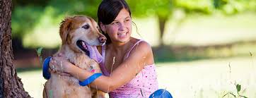 We love to share photos and stories of our patients on our facebook page! Schulhof Animal Hospital Westport Ct Veterinary Clinic Veterinarian In Westport Ct Westport Ct Animal Medical Care Pet Spa In Westport Ct