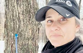 Un début des sucres très timide