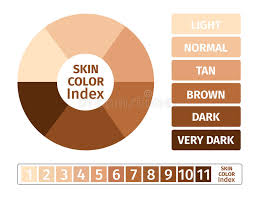 Skin Color Index Infographic 3 Chart Of Skin Stock