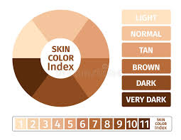 skin color index infographic 3 chart of skin stock