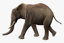 Elephants Png Transparent Image Elephant Walking Animation Png Download Transparent Png Image Pngitem To created add 34 pieces, transparent elephant images of your project files. elephants png transparent image