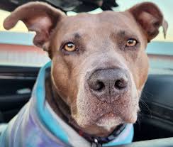 Good morning Nampa, blue sky today