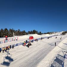 Slovenčina je jej materinským jazykom. Tomas Bartalsky Skicross Home Facebook