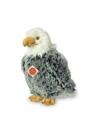 Lijst van vogels in europa Hermann Teddy Amerikaanse Zeearend 941521 Vogel Hesemans