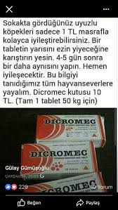 Ayse Dogan Adli Kullanicinin Kedi Kopek Icin Uyuz Ilaci Panosundaki Pin Bunu Unutma Alintilar Bilgi