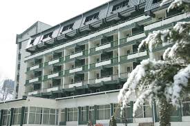 Hotel Bradul Vatra Dornei