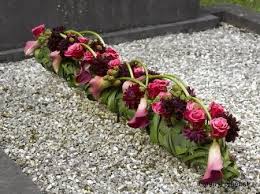 Pin On Bloemen Varia