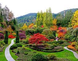 The Story Of My Day Beautiful Gardens Butchart Gardens Most Beautiful Gardens