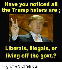 Have You Noticed All The Trump Haters Are Liberals Illegals Or Living Off The Govt Right Nidpatriots Meme On Me Me