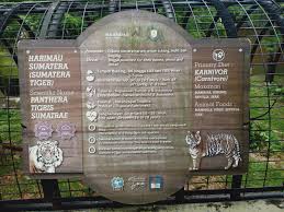 Yandex.translate works with words, texts, and webpages. Taburan Hujan In English San Coiy