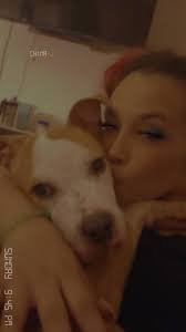 Hope this is ok to post. Saw this and my heart sunk at the thought of  Diamond being put to sleep. Is there anyone that can help?