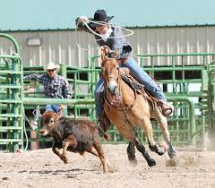 Once someone wins by attracting the ugliest woman in the bar, the rodeo is on. Rodeo Definition And Meaning Collins English Dictionary