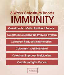 6 Immune Benefits Of Colostrum Immune Boosting Health Improve Metabolism