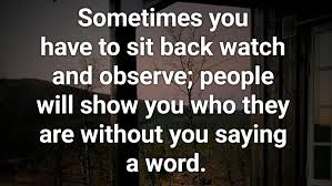 Sometimes You Have To Sit Back Watch And Observe