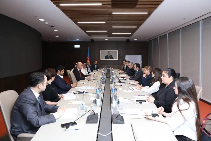 Azerbaijan discusses cooperation with Arab Coordination Group