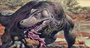 See more ideas about dragon, dragon art, dragon pictures. Monsterquest Real Dragons Tv Episode 2008 Imdb