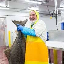 New shamrock foods company jobs added daily. Shamrock Foods Company Jobs Glassdoor